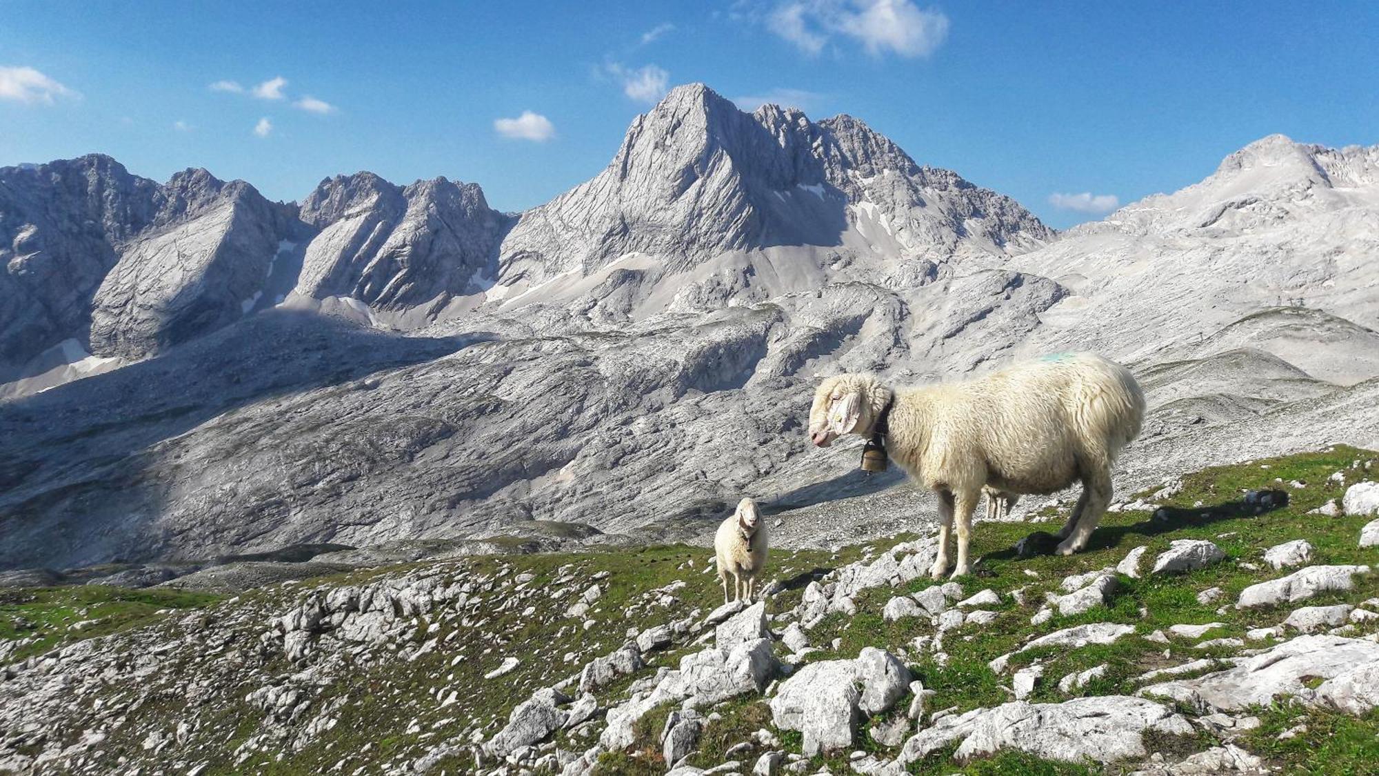 Ferienwohnung Alpspitze Grainau Exteriér fotografie